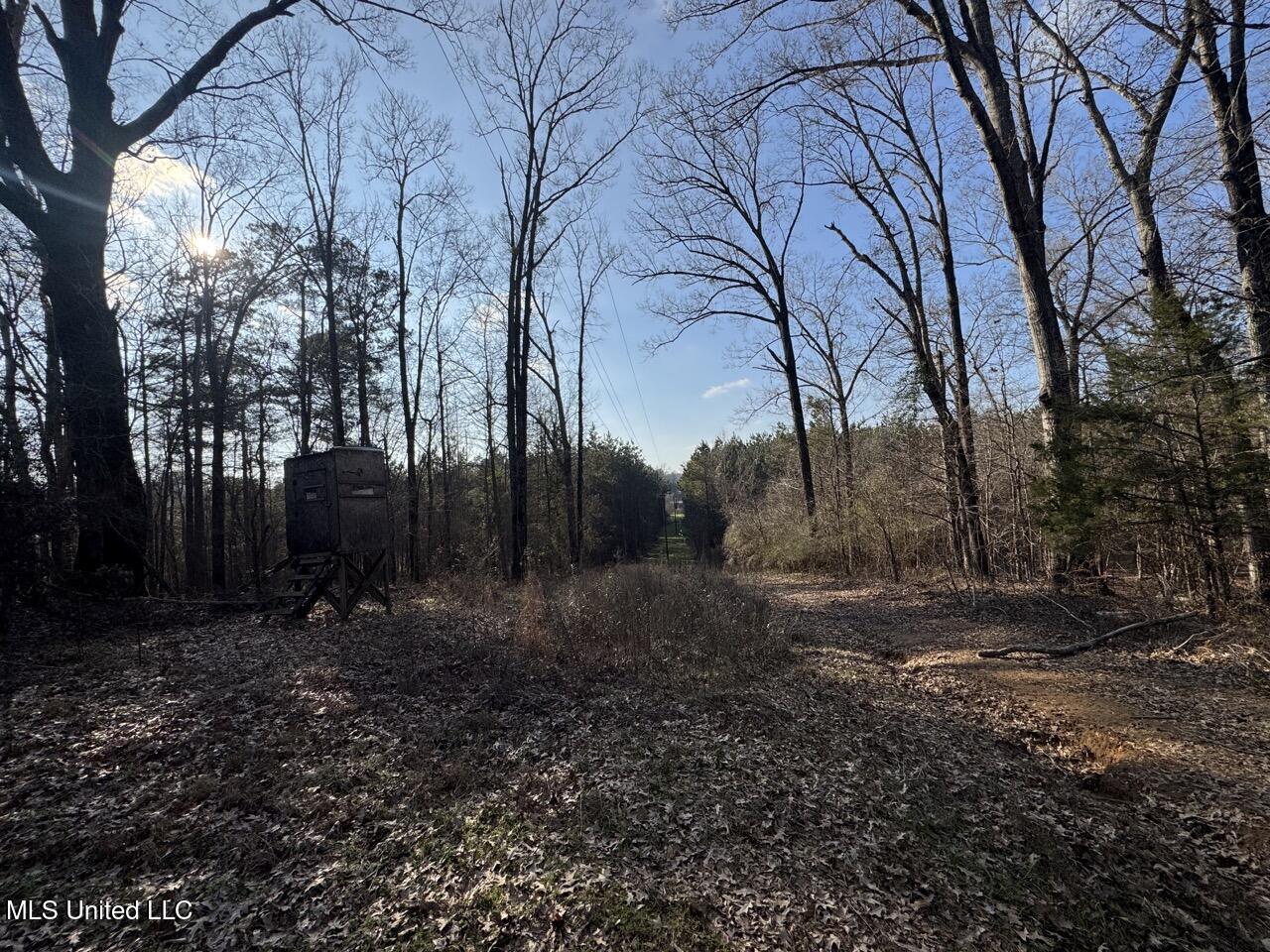 1004 Joe Good Road Lorman, MS 39096 - Photo 42 of 57 IMG_1927 Large