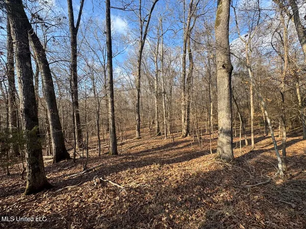 $850,000 | 1004 Joe Good Road, Lorman, MS 39096