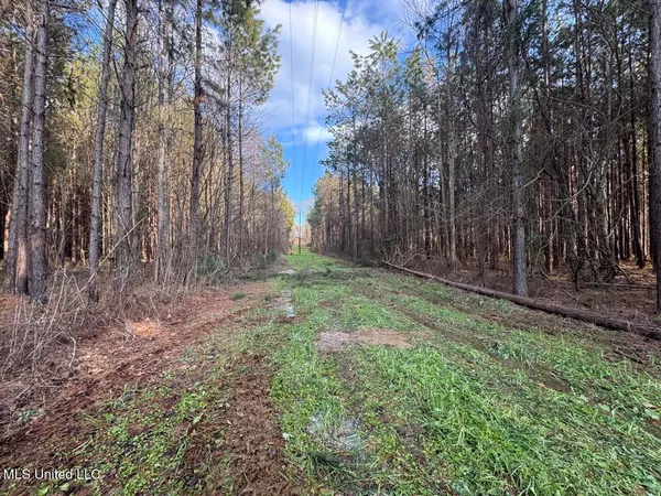 $850,000 | 1004 Joe Good Road, Lorman, MS 39096