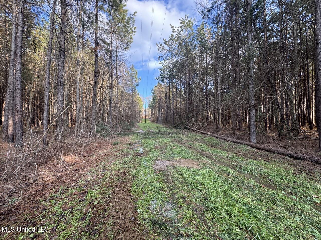 1004 Joe Good Road Lorman, MS 39096 - Photo 44 of 57 IMG_1934 Large