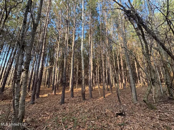 $850,000 | 1004 Joe Good Road, Lorman, MS 39096