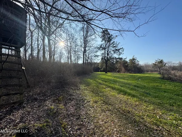 $850,000 | 1004 Joe Good Road, Lorman, MS 39096