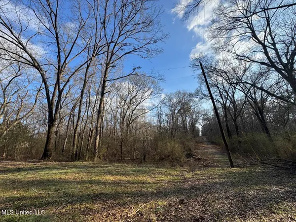 $850,000 | 1004 Joe Good Road, Lorman, MS 39096