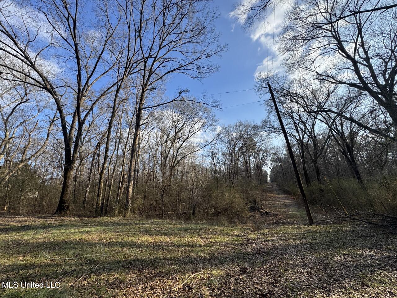 1004 Joe Good Road Lorman, MS 39096 - Photo 48 of 57 IMG_1939 Large