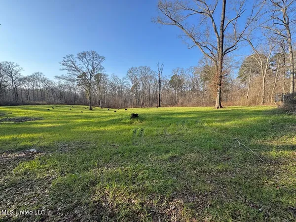 $850,000 | 1004 Joe Good Road, Lorman, MS 39096