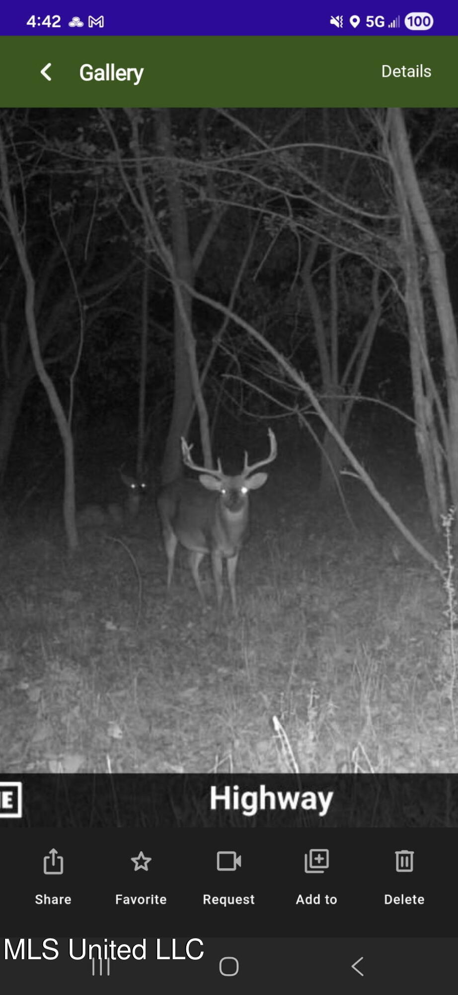 1004 Joe Good Road Lorman, MS 39096 - Photo 50 of 57 7595324568096913521
