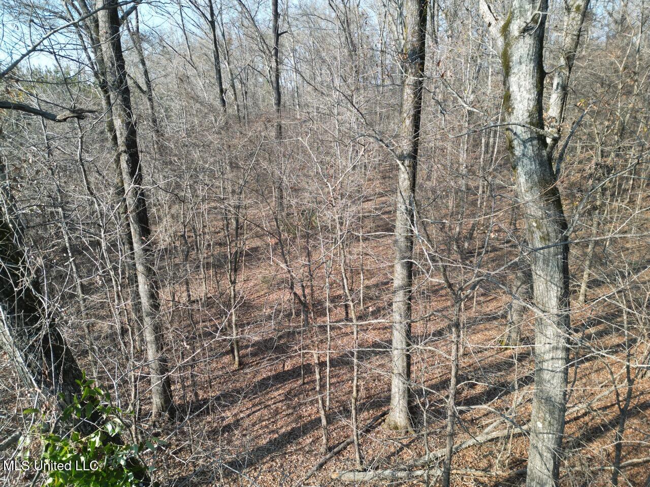 1004 Joe Good Road Lorman, MS 39096 - Photo 5 of 57 DJI_0251 Large