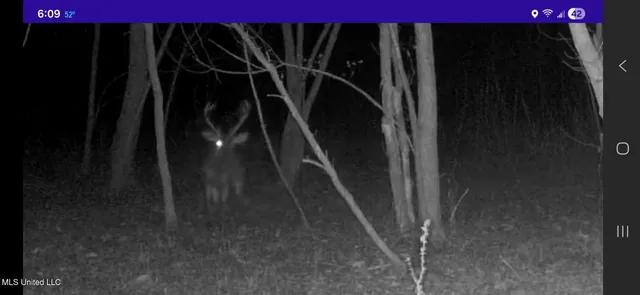 $850,000 | 1004 Joe Good Road, Lorman, MS 39096