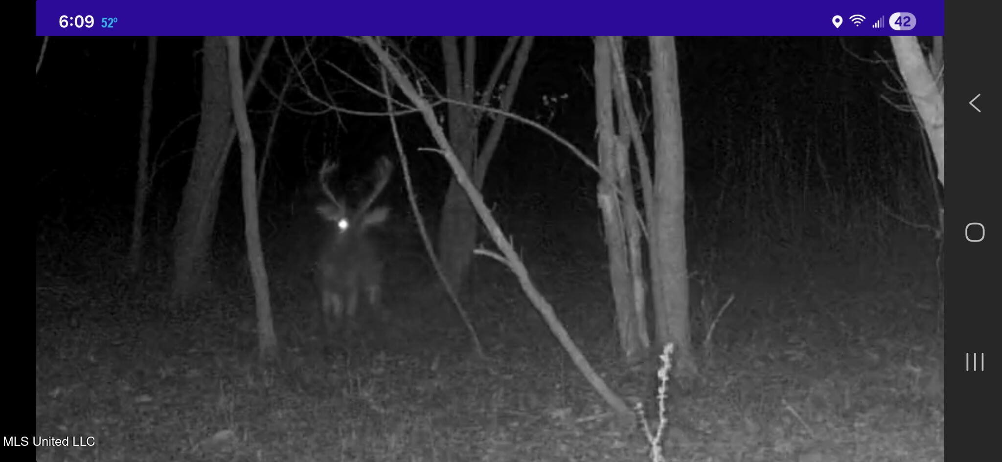 1004 Joe Good Road Lorman, MS 39096 - Photo 51 of 57 7180280540216235503