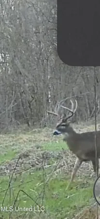 $850,000 | 1004 Joe Good Road, Lorman, MS 39096