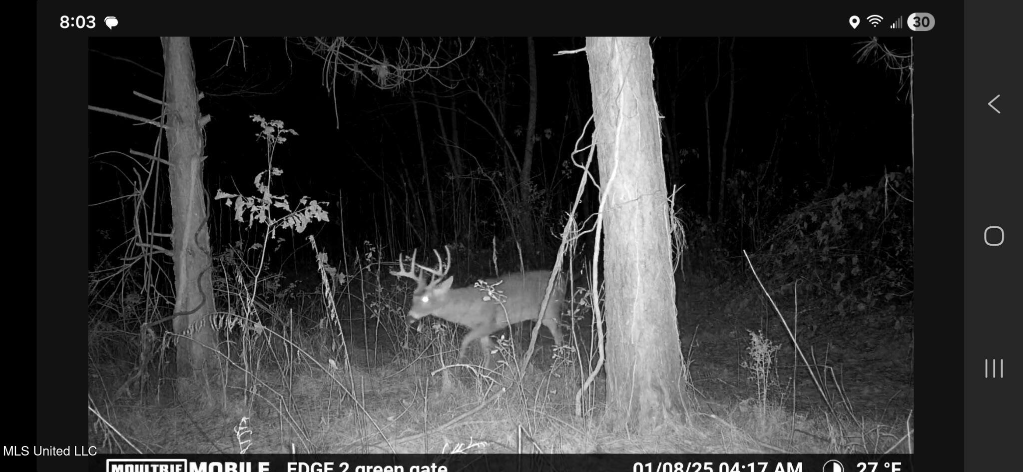 1004 Joe Good Road Lorman, MS 39096 - Photo 53 of 57 6217029720485091670