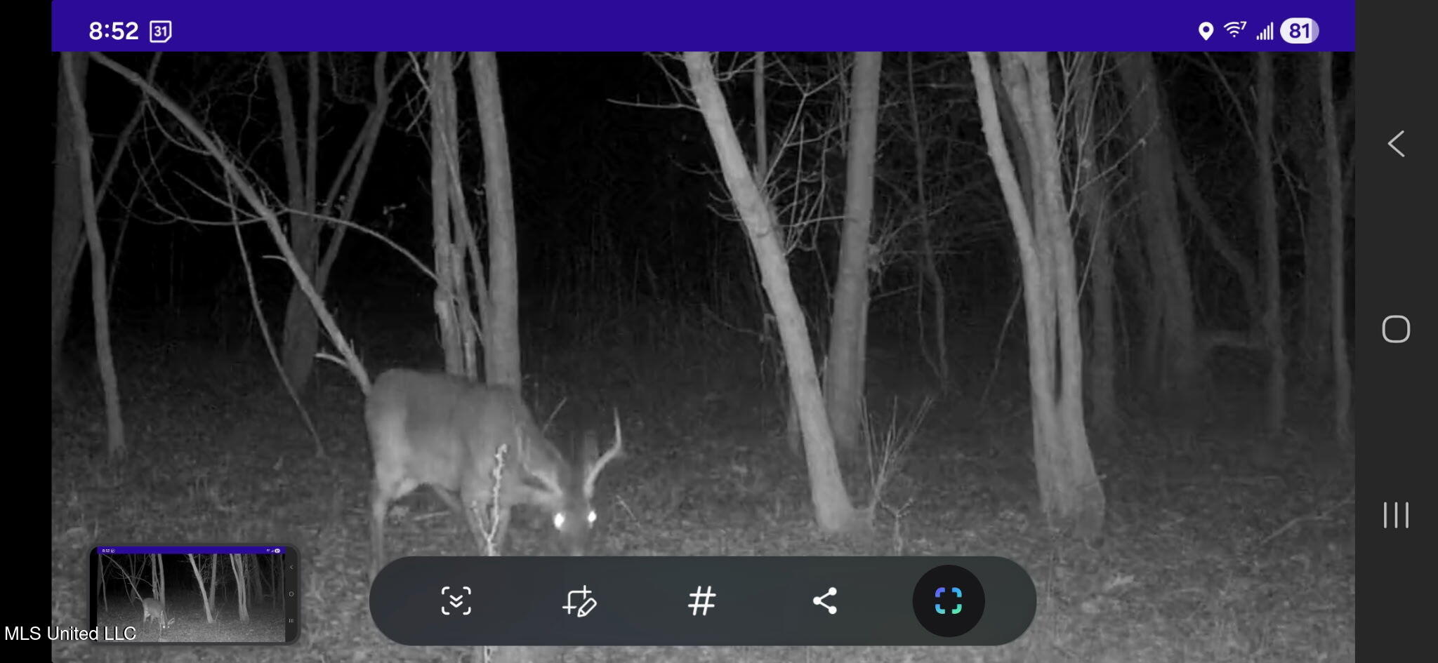 1004 Joe Good Road Lorman, MS 39096 - Photo 54 of 57 1249650961008945745