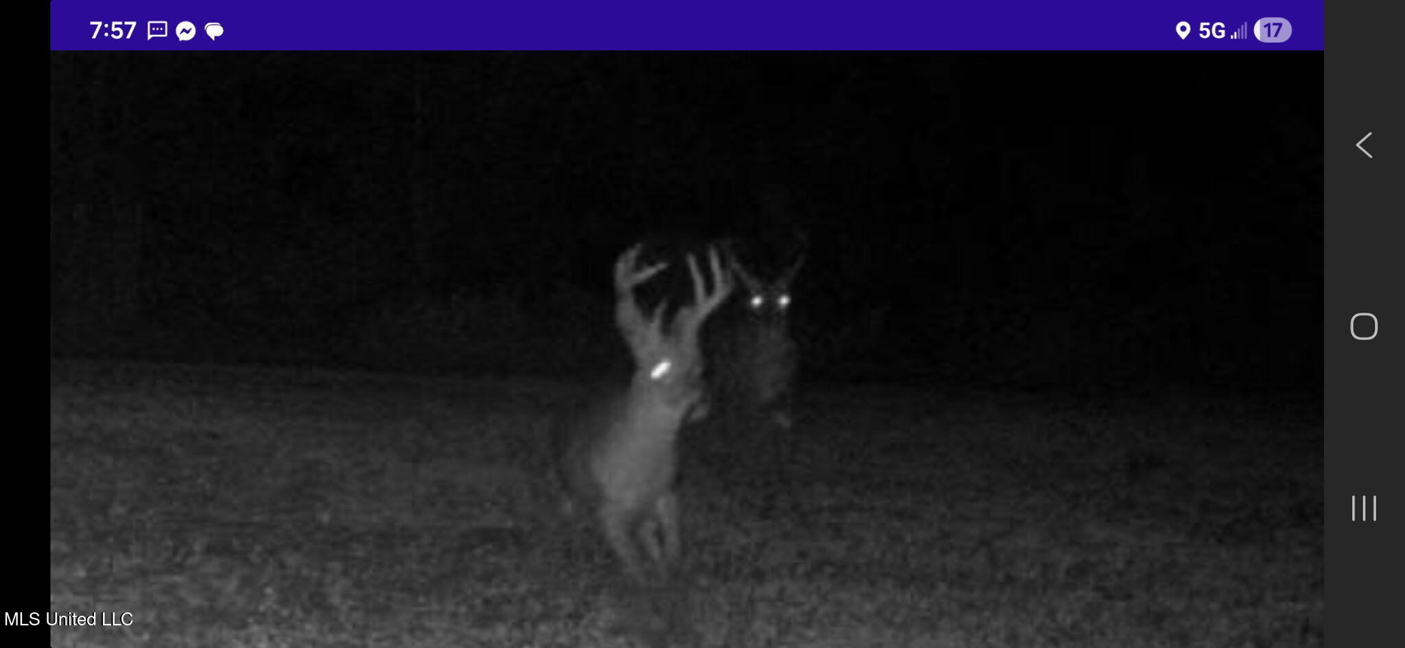 1004 Joe Good Road Lorman, MS 39096 - Photo 55 of 57 656361983598751401