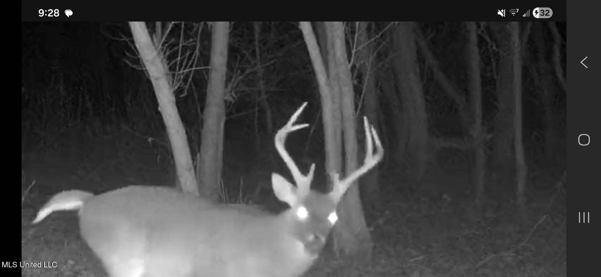 1004 Joe Good Road Lorman, MS 39096 - Photo 56 of 57 592635260764533555