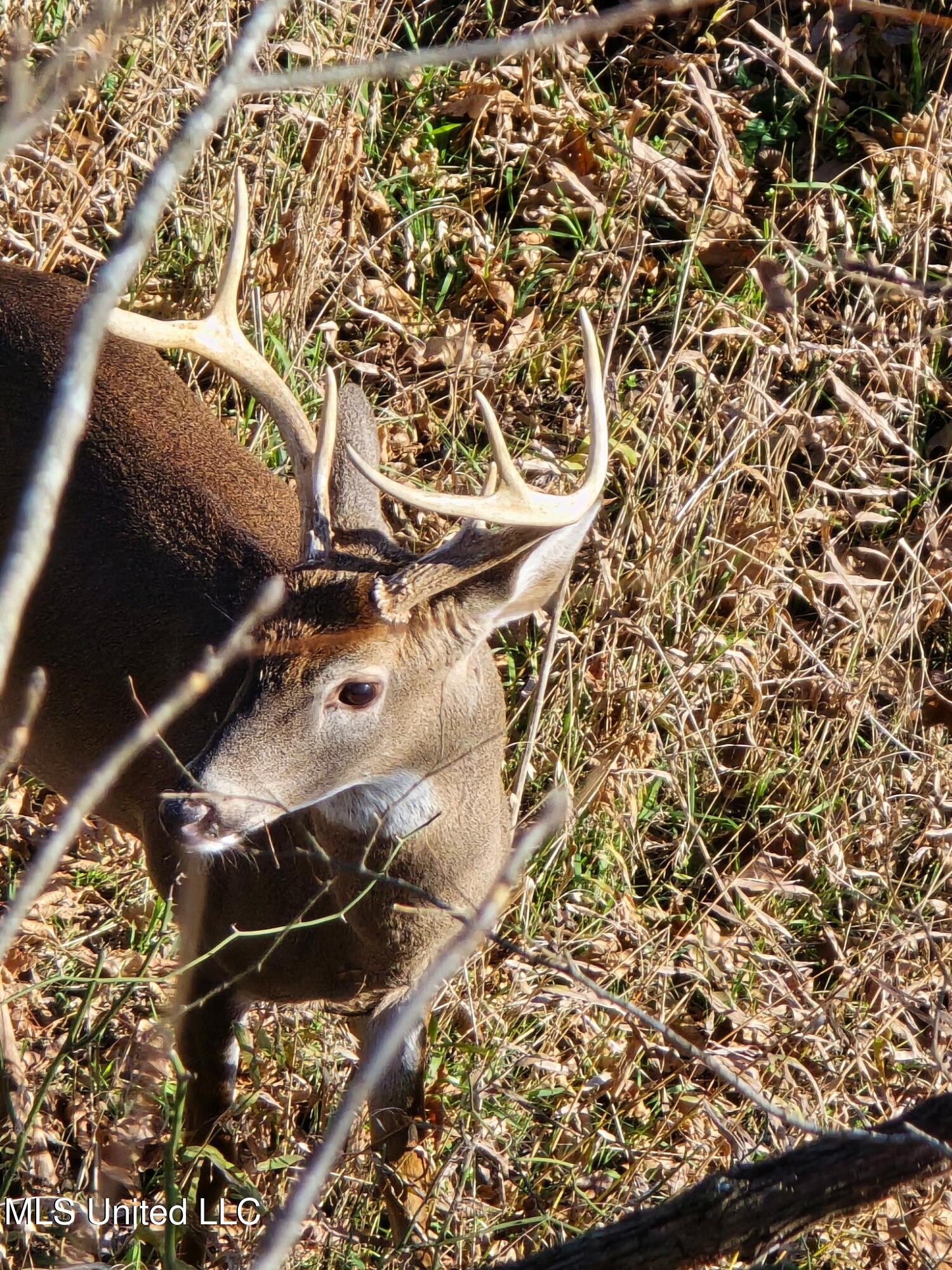 1004 Joe Good Road Lorman, MS 39096 - Photo 57 of 57 326318761845310377
