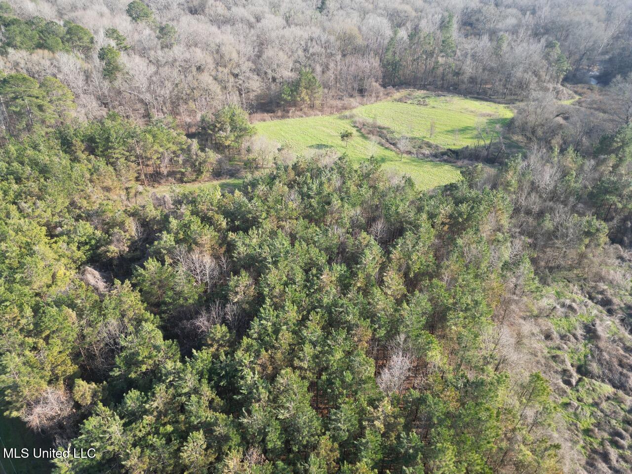 1004 Joe Good Road Lorman, MS 39096 - Photo 6 of 57 DJI_0252 Large