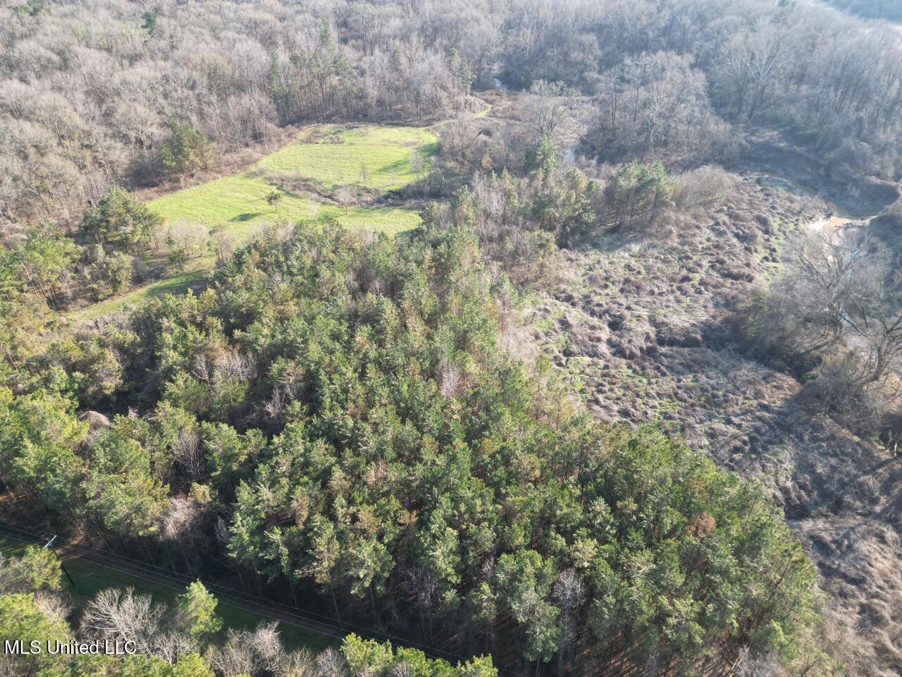 1004 Joe Good Road Lorman, MS 39096 - Photo 7 of 57 DJI_0253 Large