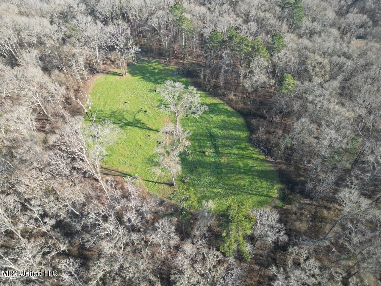 1004 Joe Good Road Lorman, MS 39096 - Photo 9 of 57 DJI_0256 Large