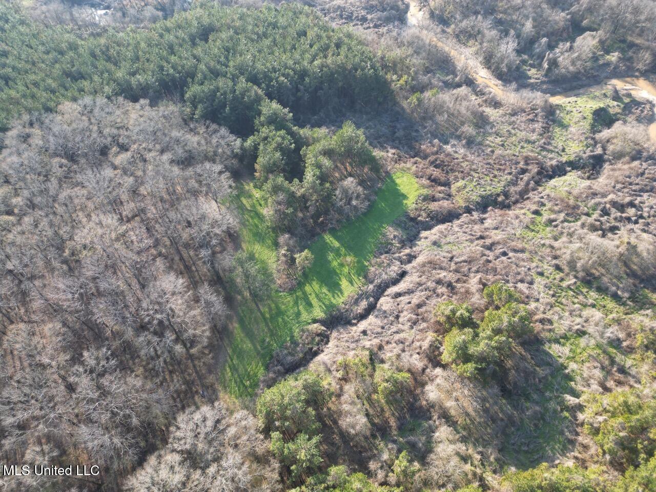 1004 Joe Good Road Lorman, MS 39096 - Photo 10 of 57 DJI_0260 Large