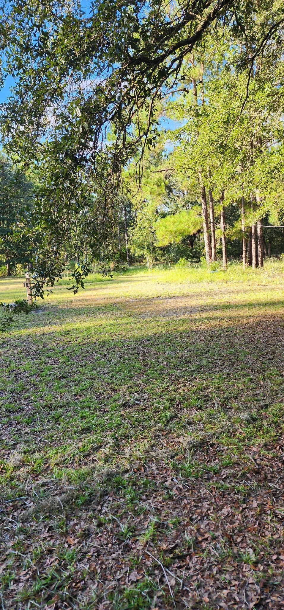 152 Sam Marks Road Crawfordville, FL 32327 - Photo 15 of 18 Gallery Image 15