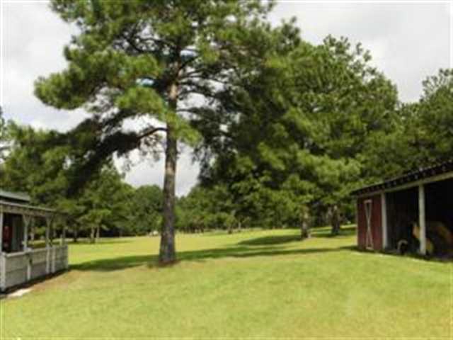 560 Clinton Road Havana, FL 32333 - Photo 2 of 25 Gallery Image 2