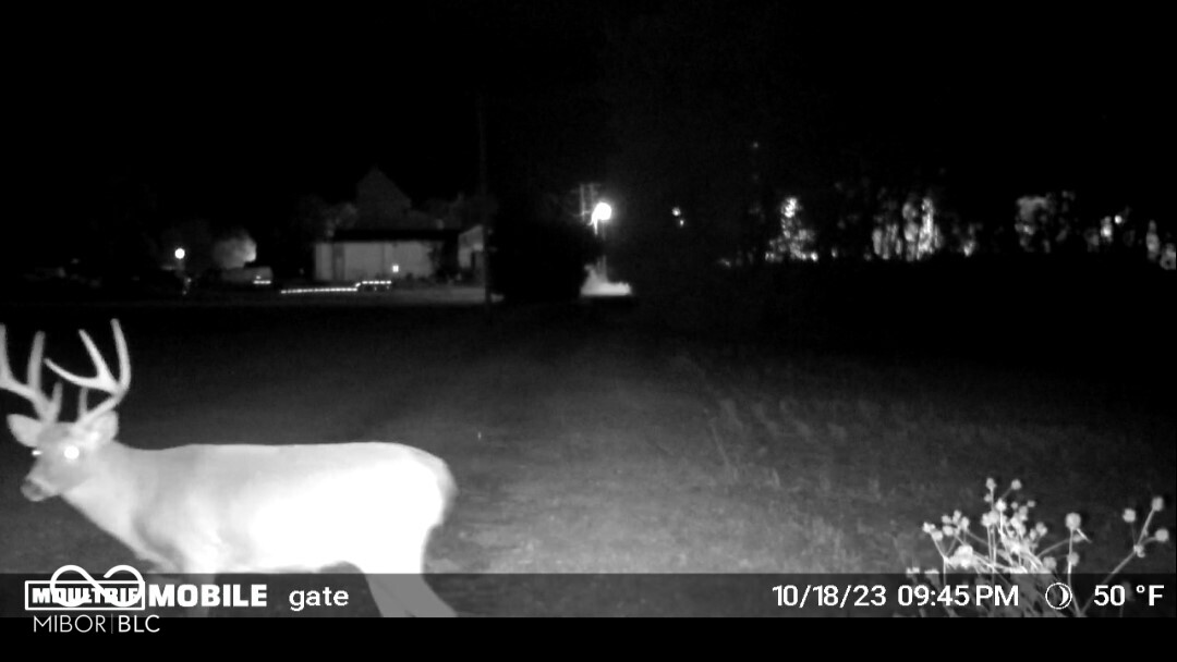 1283 Jonesville Road Columbus, IN 47201 - Photo 4 of 82 Gallery Image 4