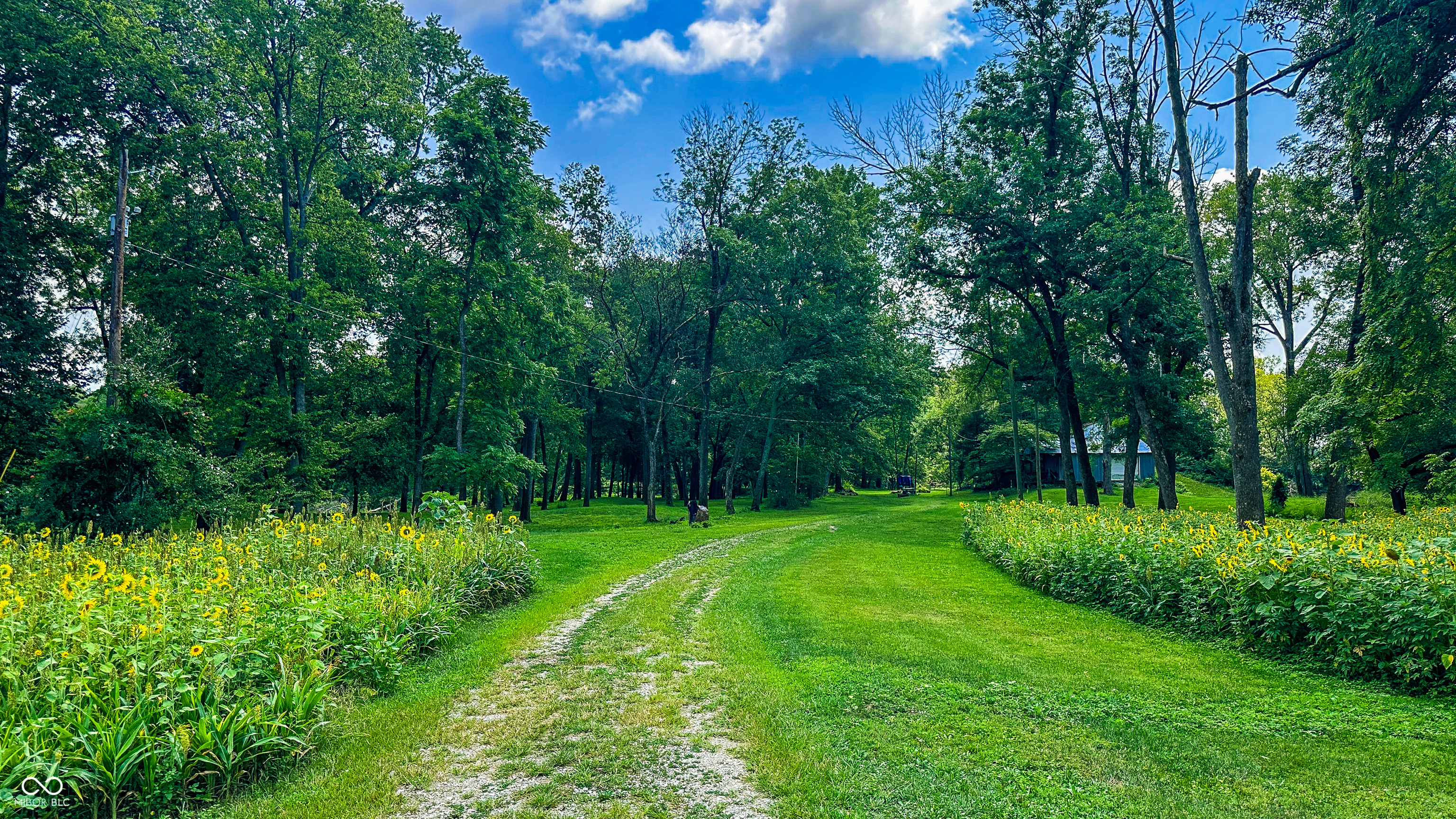 1283 Jonesville Road Columbus, IN 47201 - Photo 58 of 82 Gallery Image 58