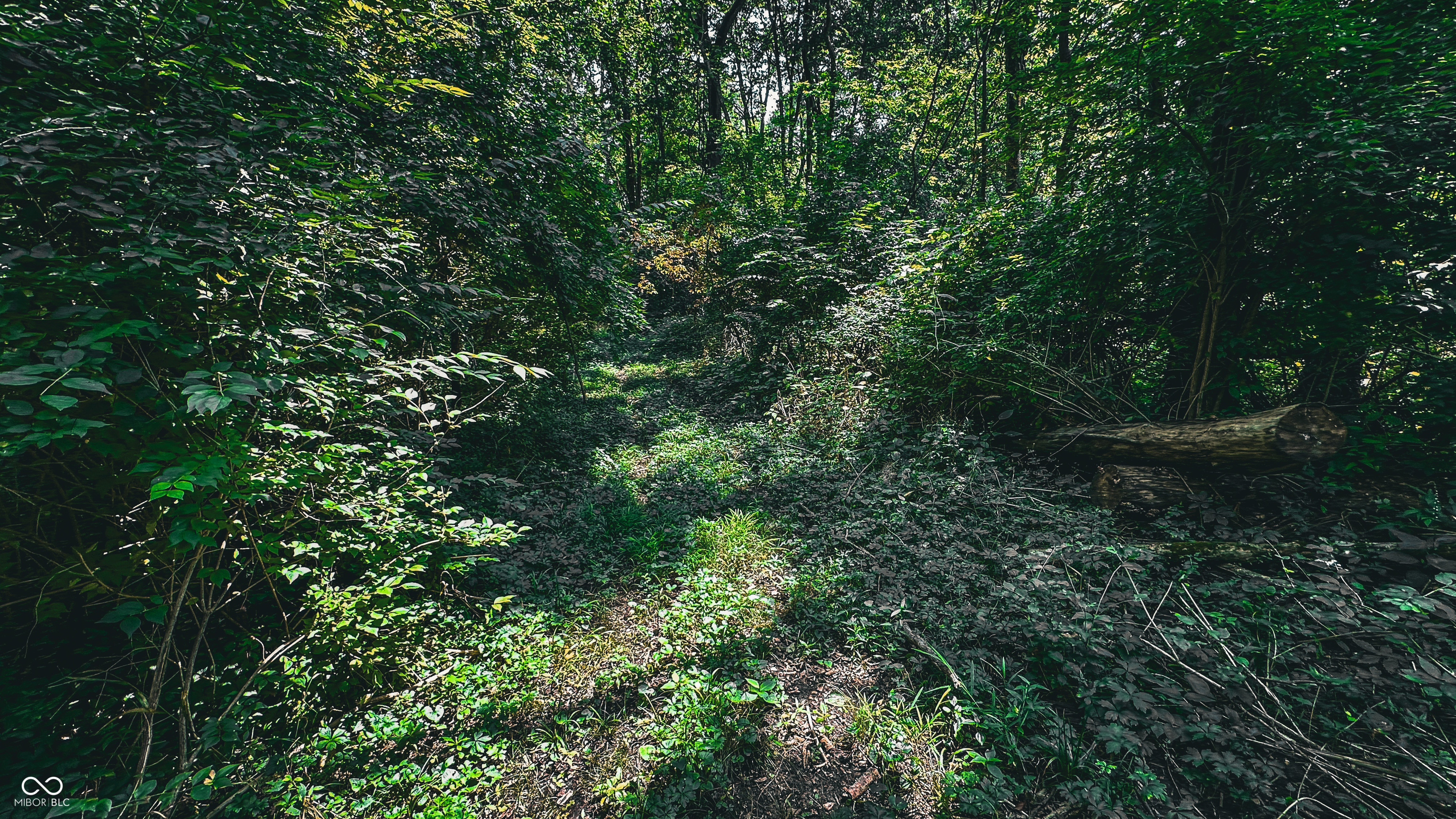 1283 Jonesville Road Columbus, IN 47201 - Photo 72 of 82 Gallery Image 72