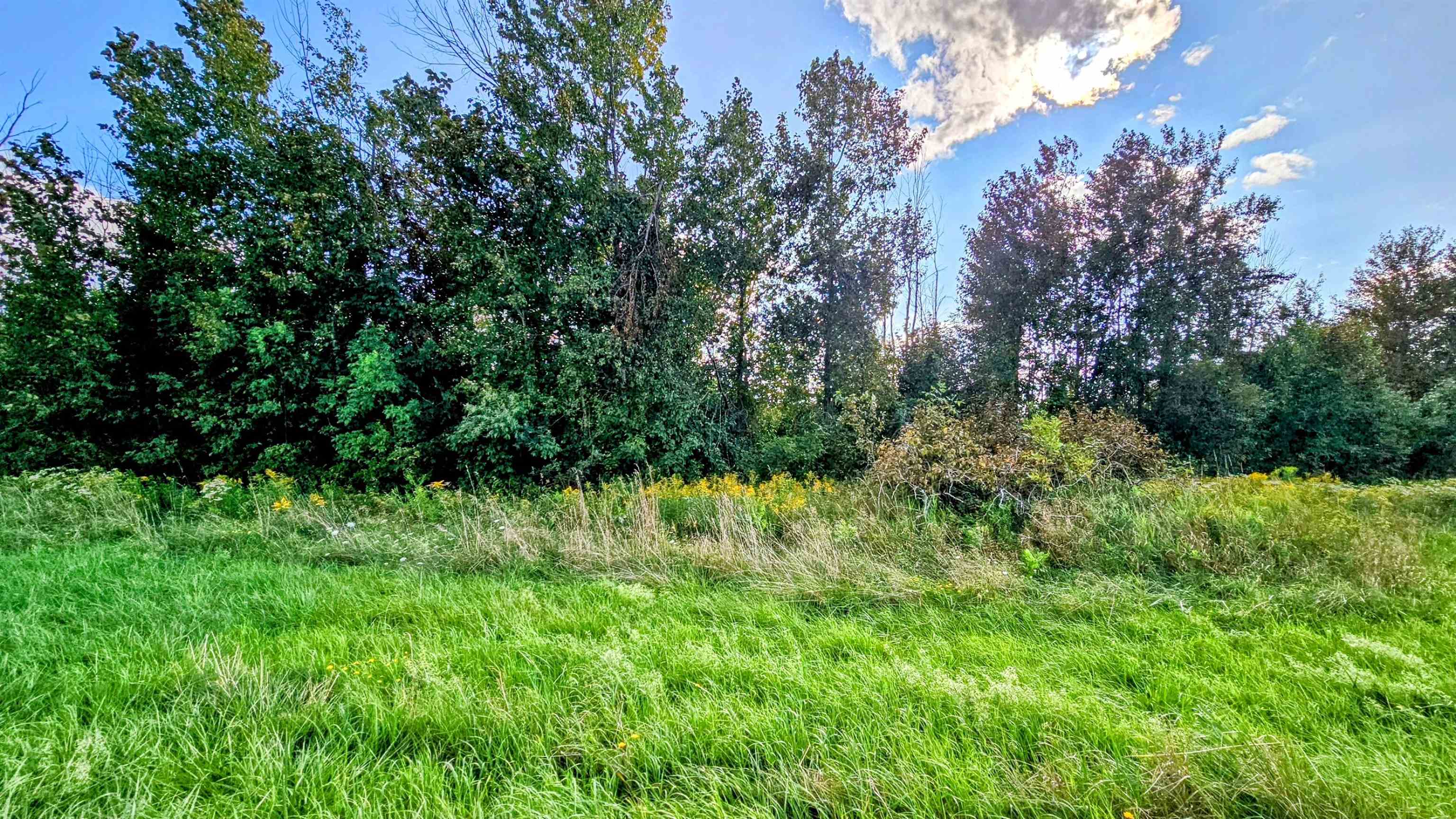 N/a N/a Maple Ridge Road, Unit ROSEBURGH Alger, MI 48610 - Photo 8 of 24