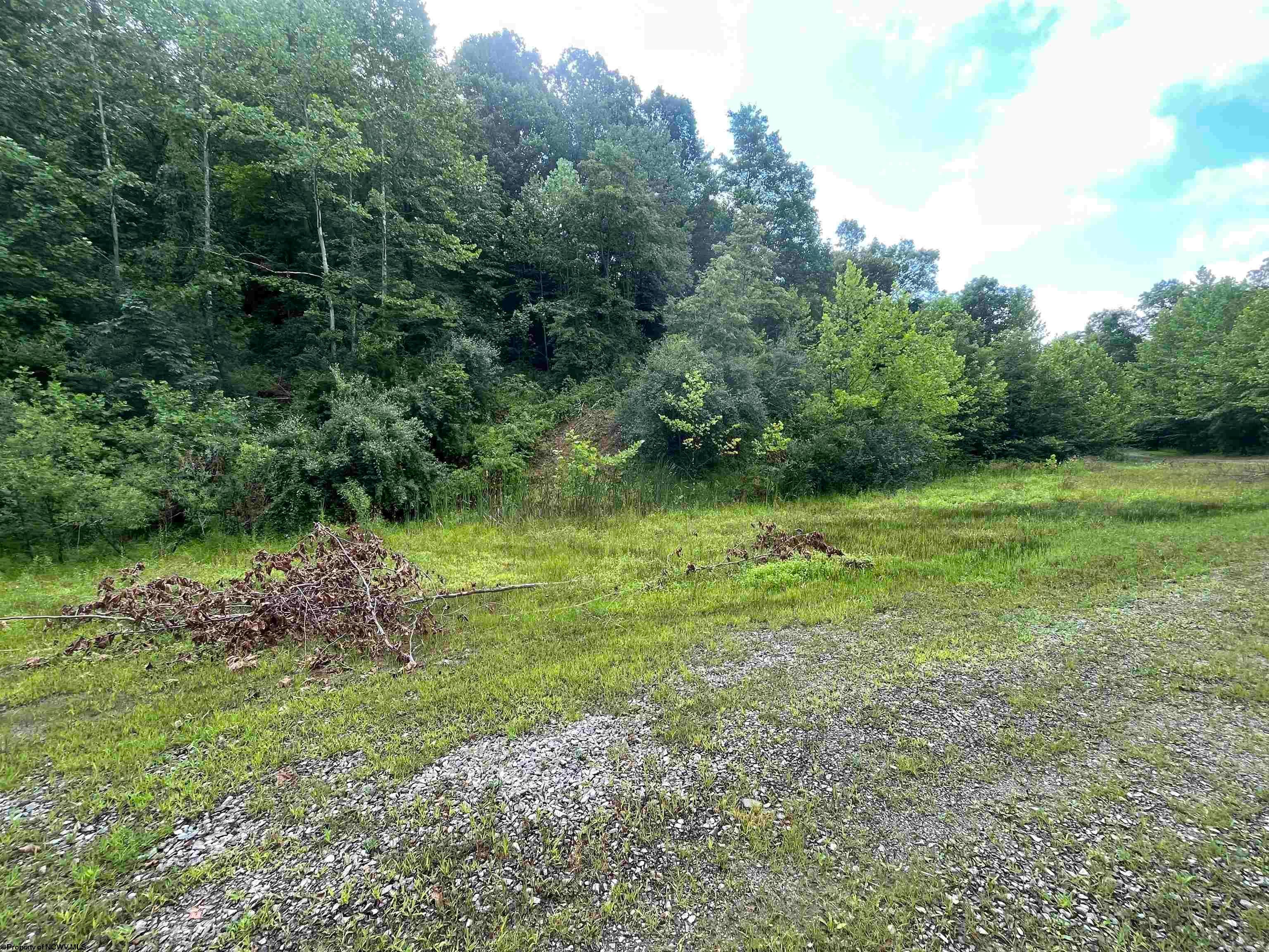 224 Left Millstone Road Weston, WV 26452 - Photo 13 of 24 Gallery Image 13
