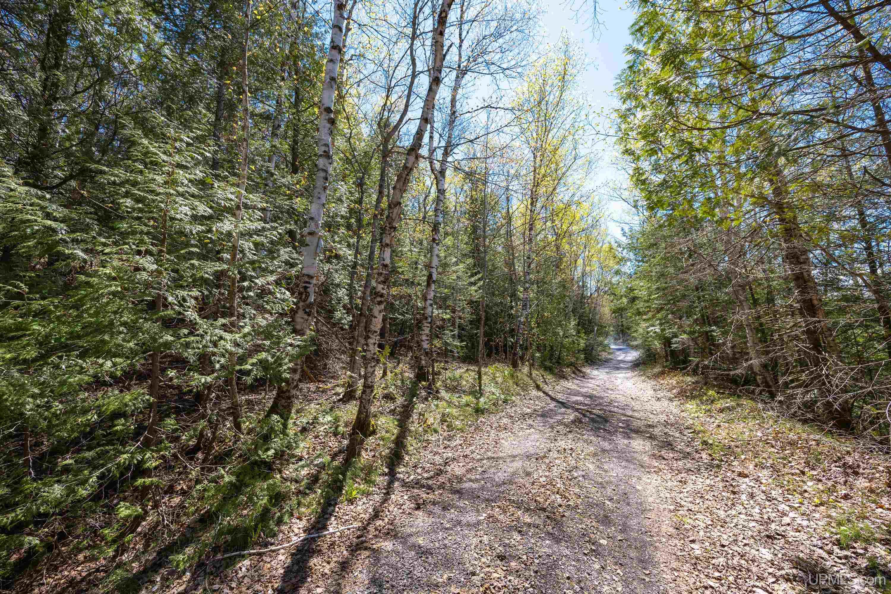 Tbd A Tbd A Road Atlantic Mine, MI 49905 - Photo 29 of 39