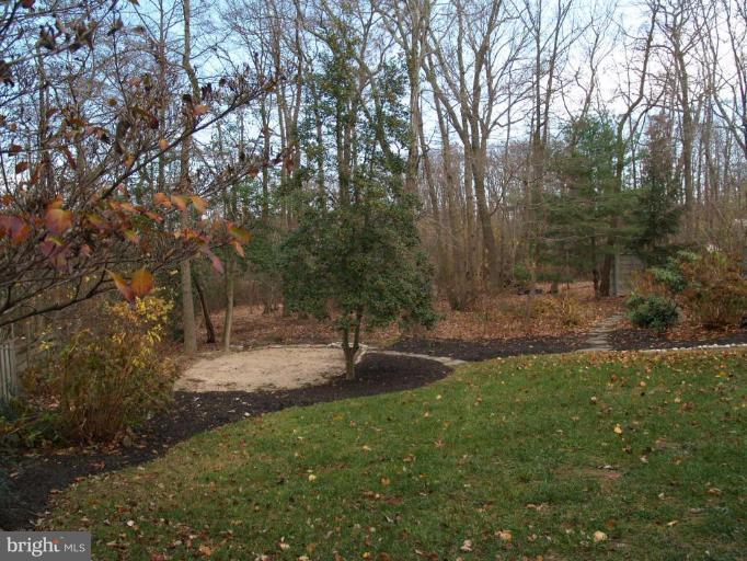 3219 Peverly Run Road Abingdon, MD 21009 - Photo 18 of 30 Back yard