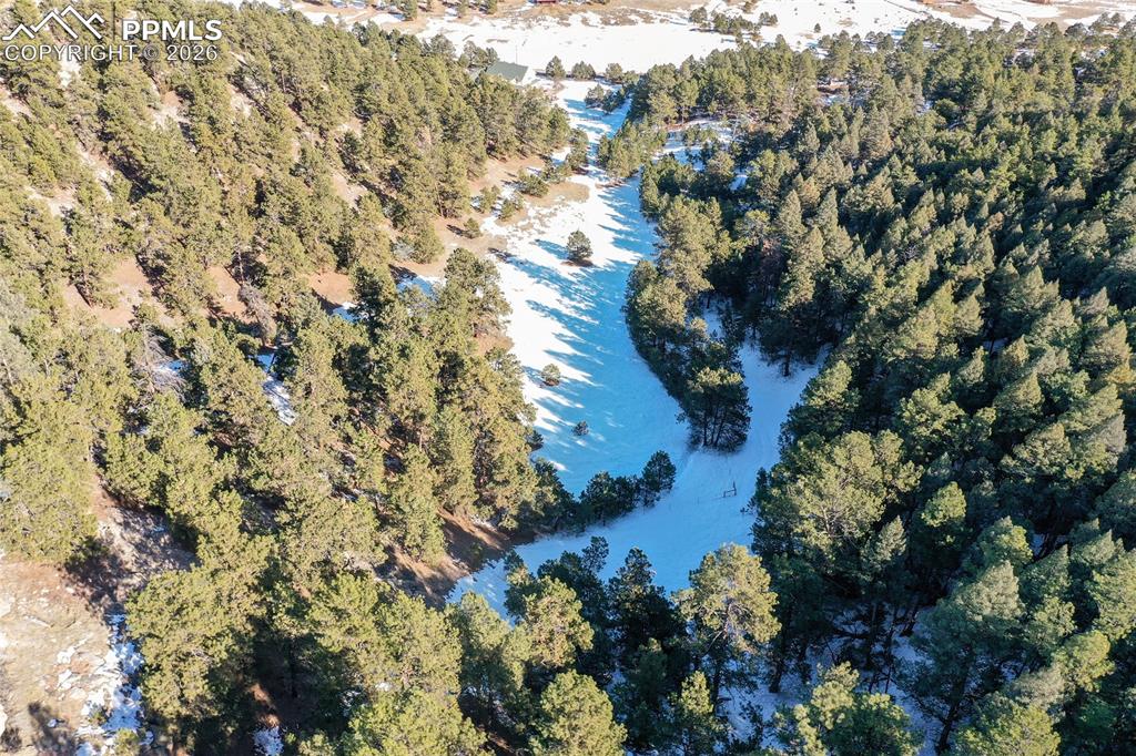 16490 Mesquite Road Peyton, CO 80831 - Photo 15 of 21