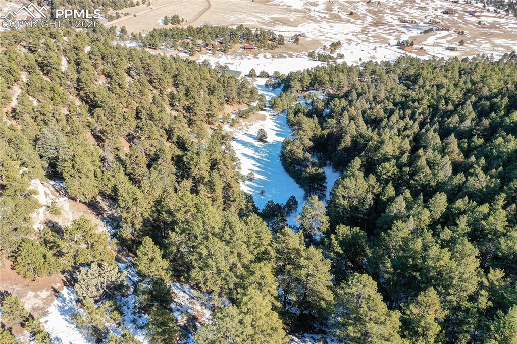 16490 Mesquite Road Peyton, CO 80831 - Photo 16 of 21