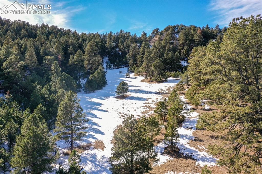 16490 Mesquite Road Peyton, CO 80831 - Photo 18 of 21