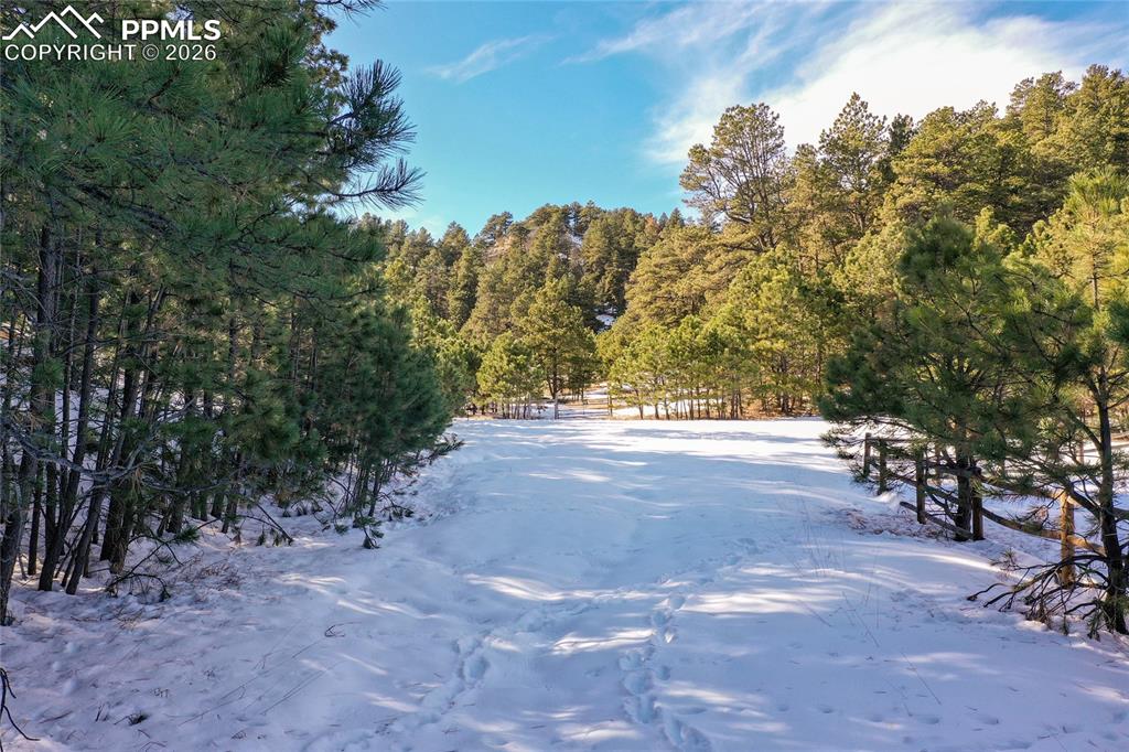 16490 Mesquite Road Peyton, CO 80831 - Photo 2 of 21