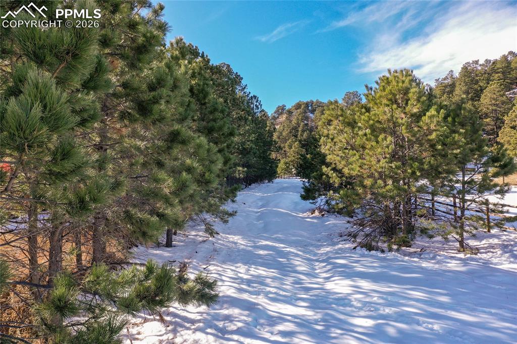 16490 Mesquite Road Peyton, CO 80831 - Photo 21 of 21