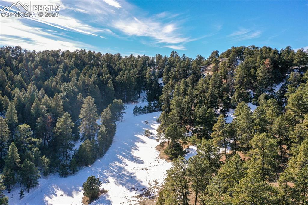 16490 Mesquite Road Peyton, CO 80831 - Photo 5 of 21