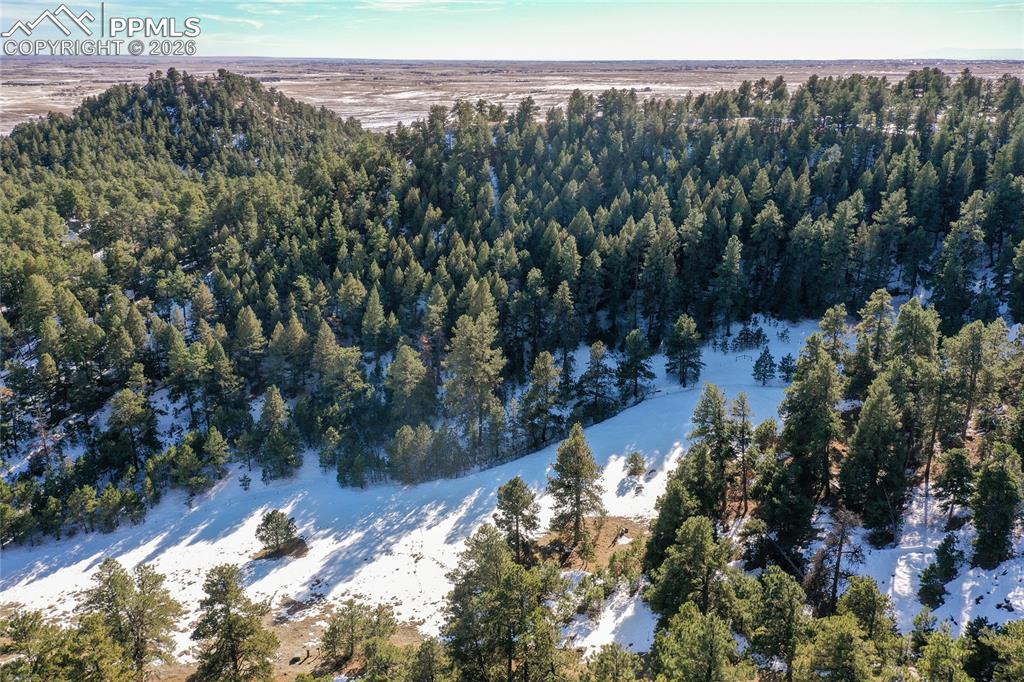 16490 Mesquite Road Peyton, CO 80831 - Photo 6 of 21