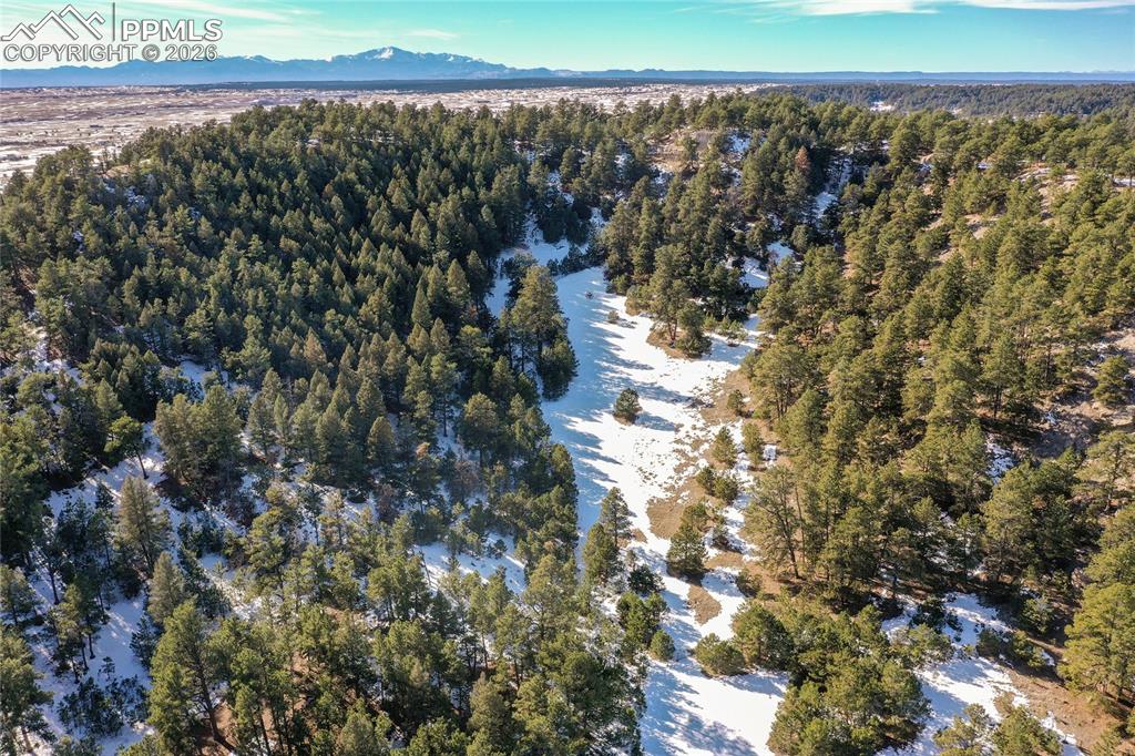 16490 Mesquite Road Peyton, CO 80831 - Photo 10 of 21