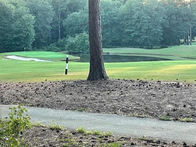 32 Duval Court Villa Rica, GA 30180 - Photo 2 of 4