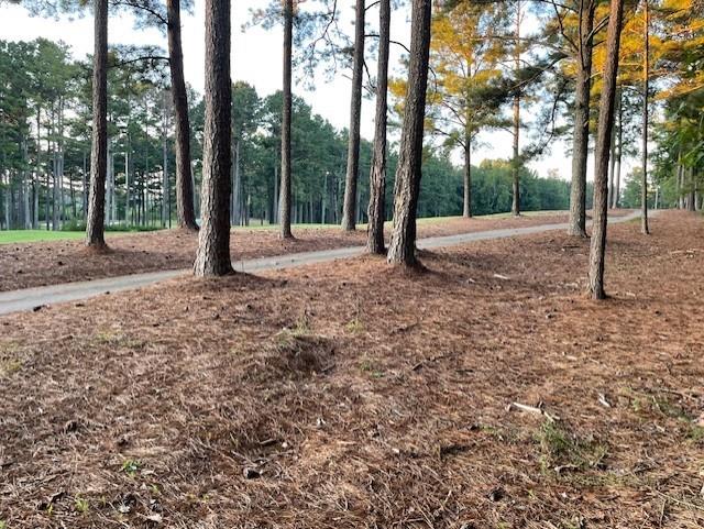 32 Duval Court Villa Rica, GA 30180 - Photo 4 of 4