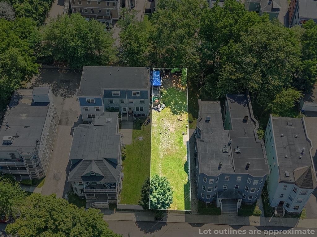 34 Cobden Street Boston, MA 02119 - Photo 3 of 8