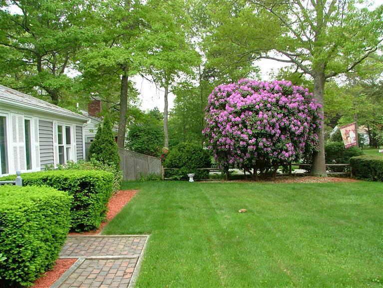 96 Sheaffer Road Centerville, MA 02632 - Photo 31 of 33