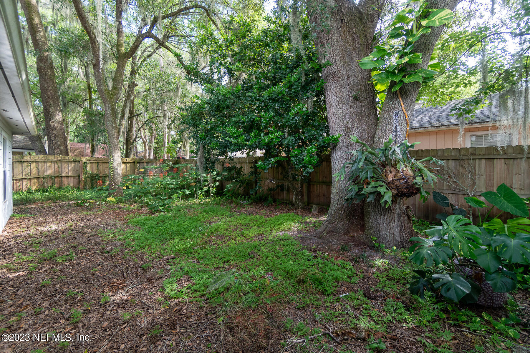11338 Rustic Pines Circle East Jacksonville, FL 32257 - Photo 29 of 33 a backyard of a house with lots of green space