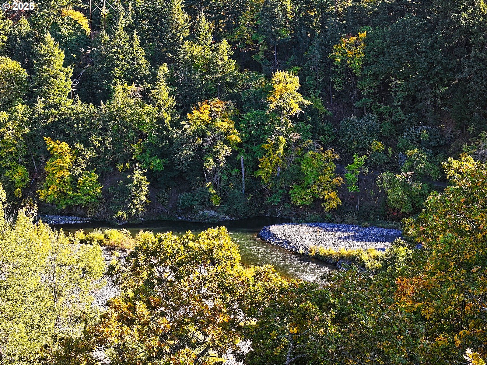 515 East 4th Street, Unit 2 Hood River, OR 97031 - Photo 21 of 48 a view of a yard with large trees