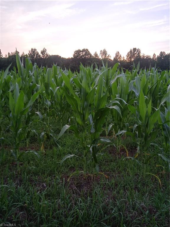 34-ac Smothers Road Madison, NC 27025 - Photo 6 of 22