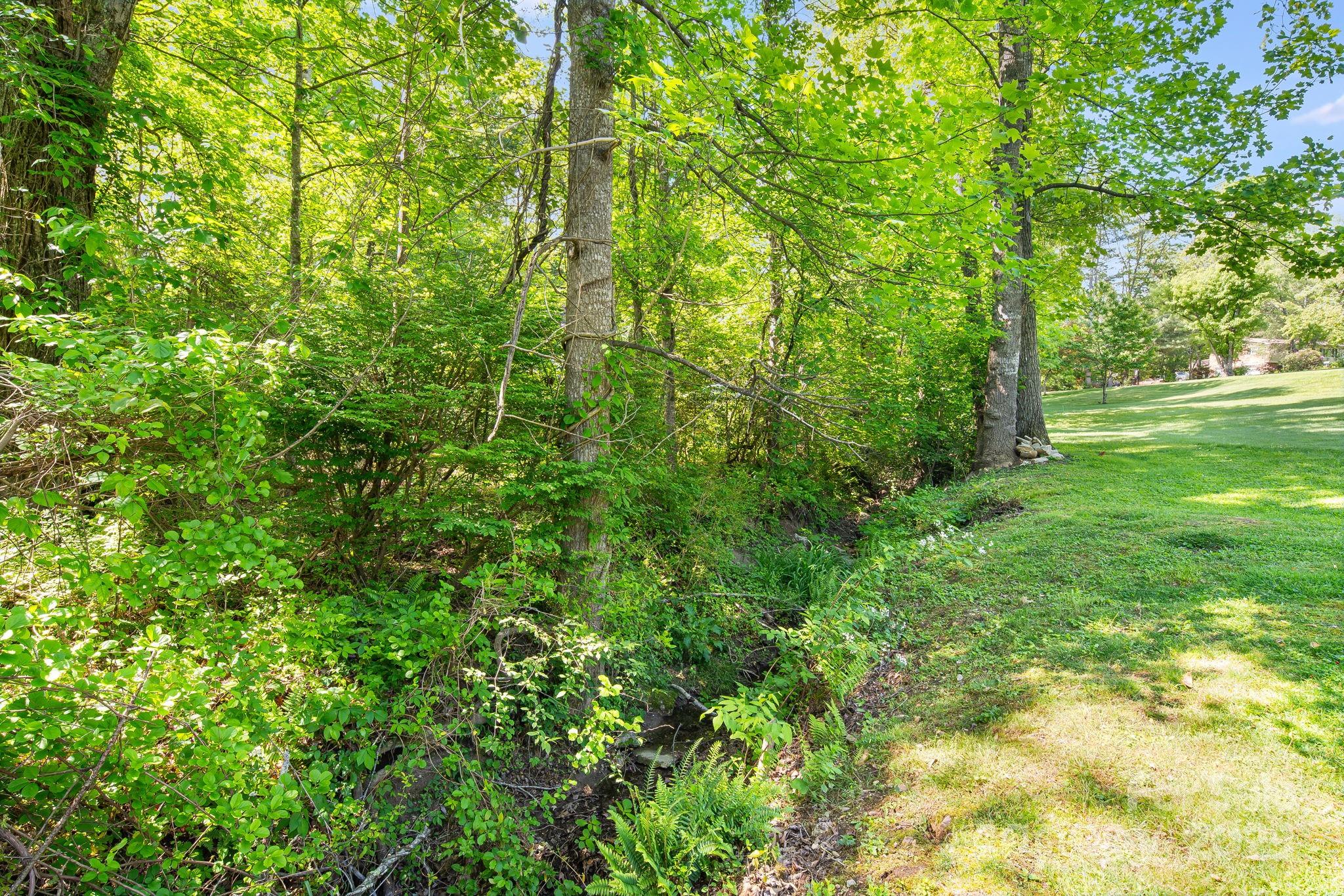 3127 Butler Bridge Road Mills River, NC 28759 - Photo 25 of 25 Gallery Image 25