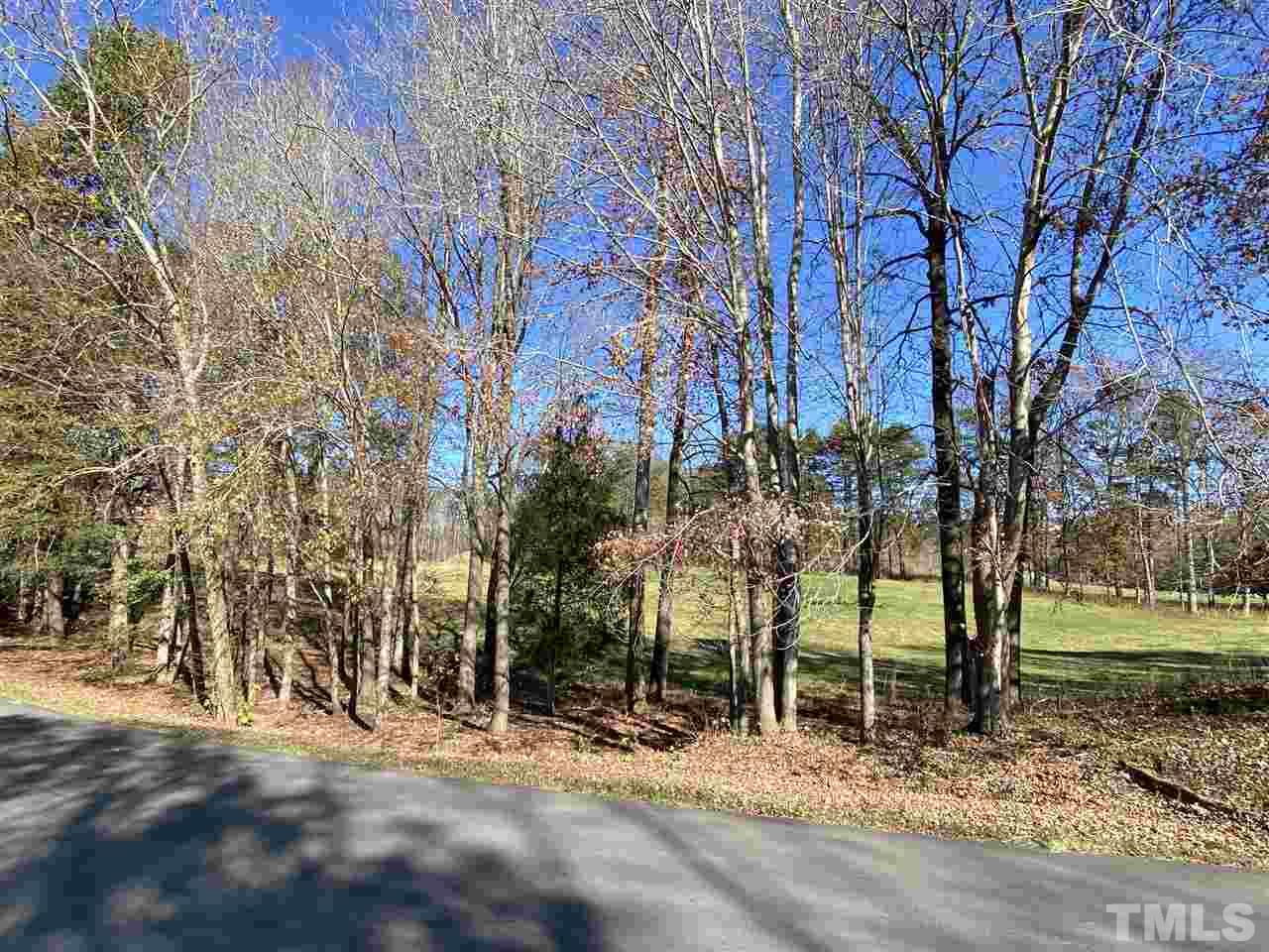 Tbd Club House Road Roxboro, NC 27574 - Photo 4 of 9