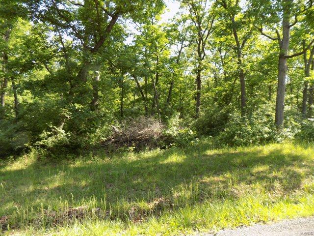 247 Foxboro Road Gerald, MO 63037 - Photo 4 of 16